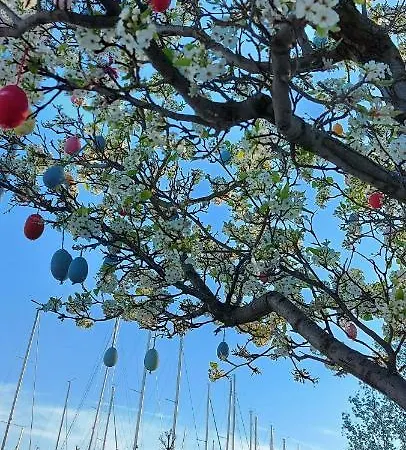 Hotel Silver A36 Apartman